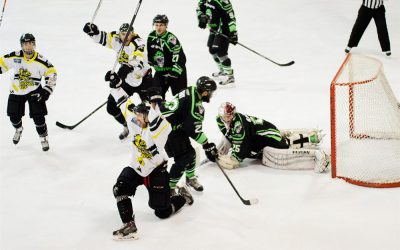 IBS help Bracknell Bees buzz their way to success